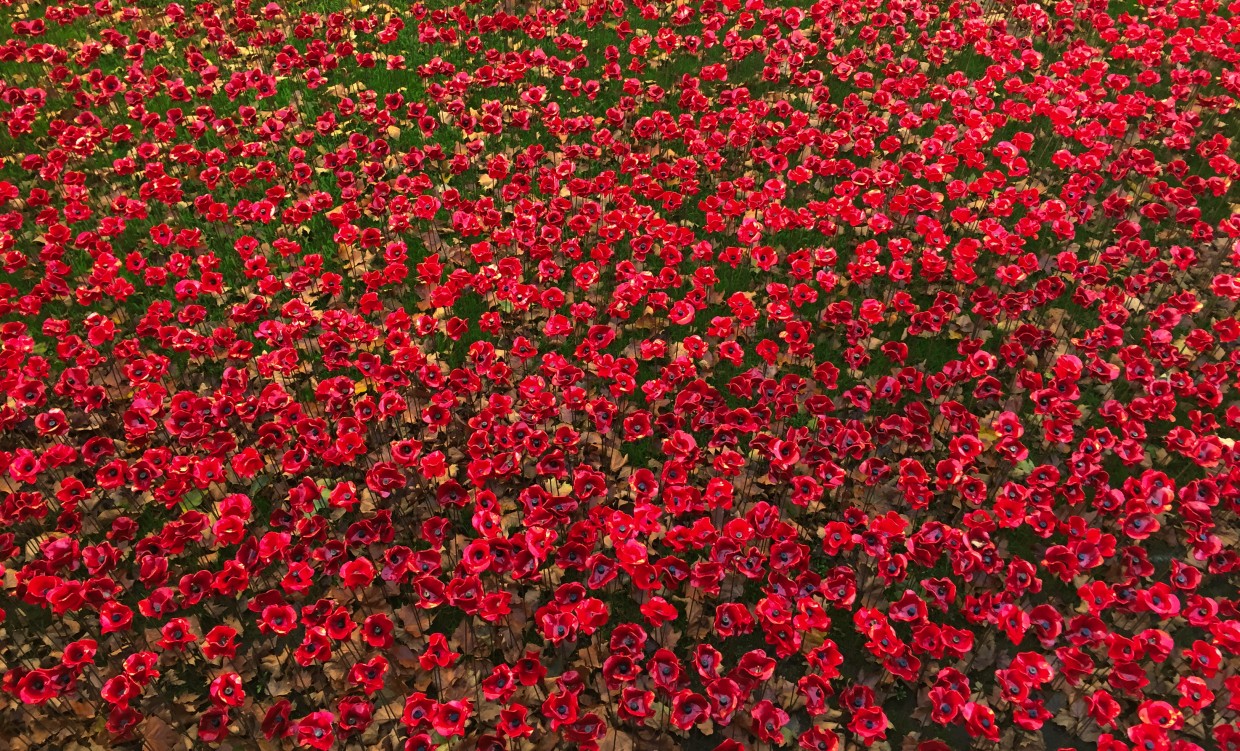 London Snippet: Poppies at the Tower of London - Non Stop Destination