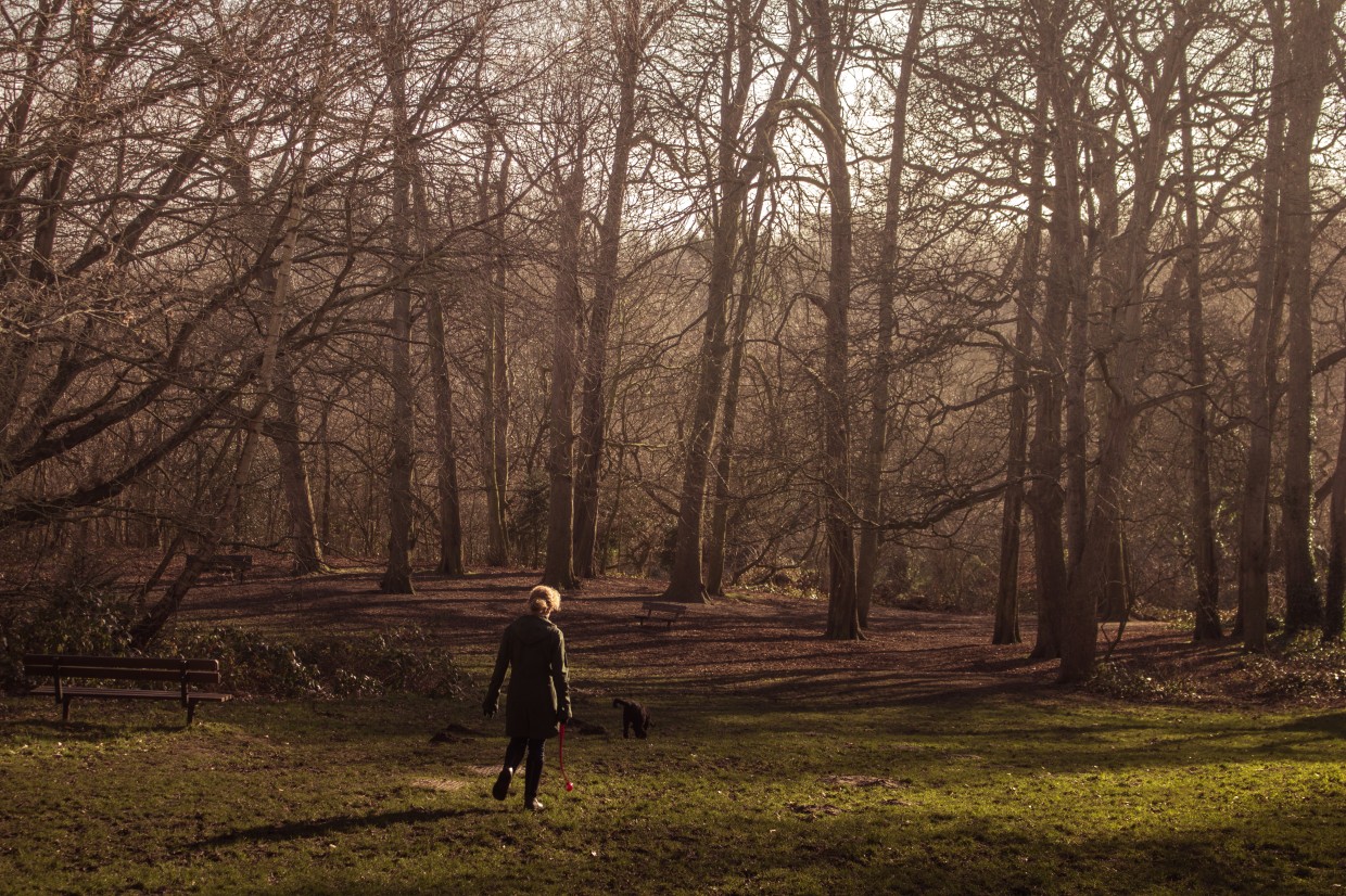 Hampstead Heath woman walking dog