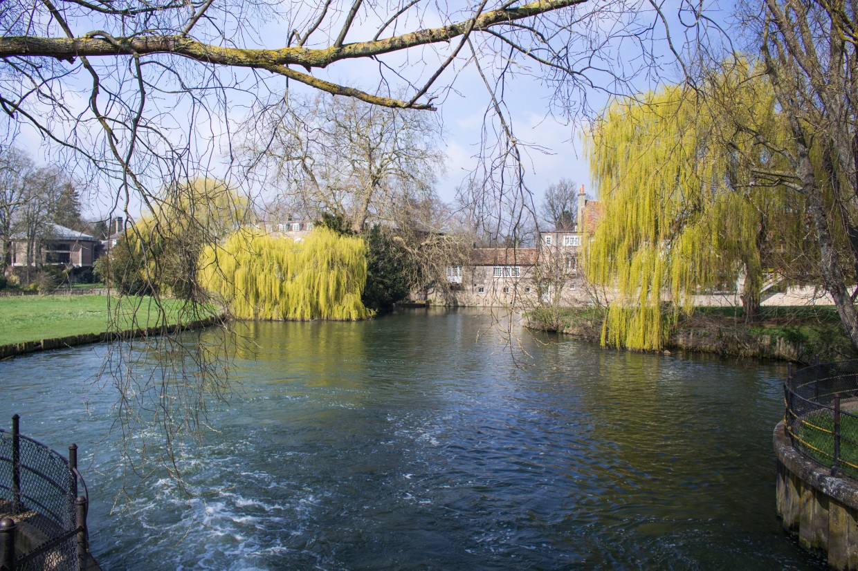 Cambridge River