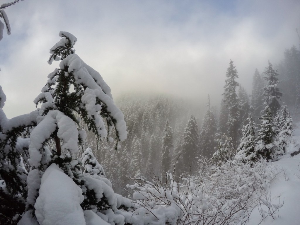 Grouse Mountain Winter Wonderland, Canada