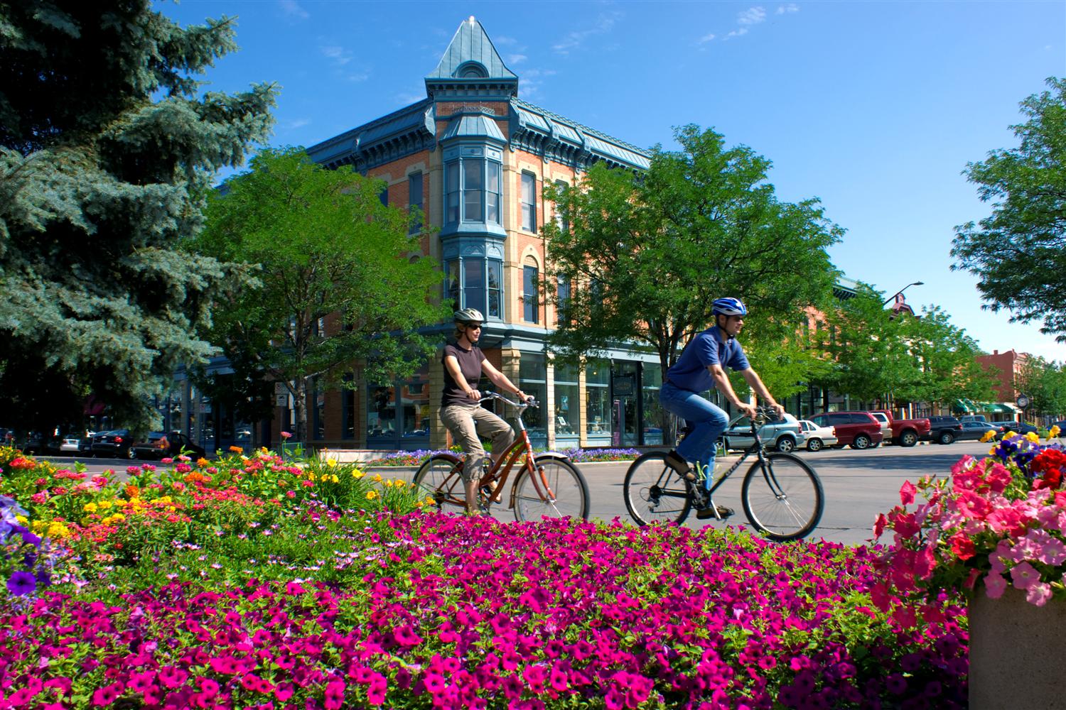 Hipmunk Hotels: Fort Collins