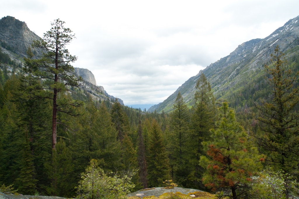 Blodgett Canyon