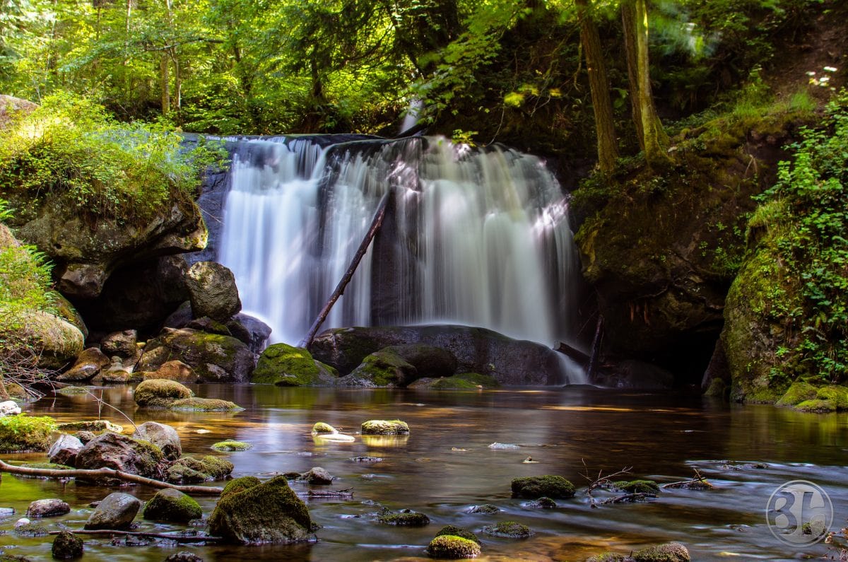 Whatcom Falls, Washington