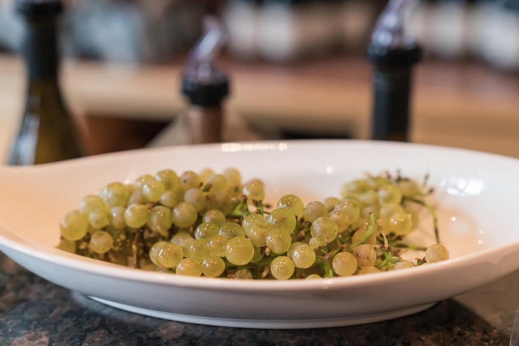 Chardonnay grapes