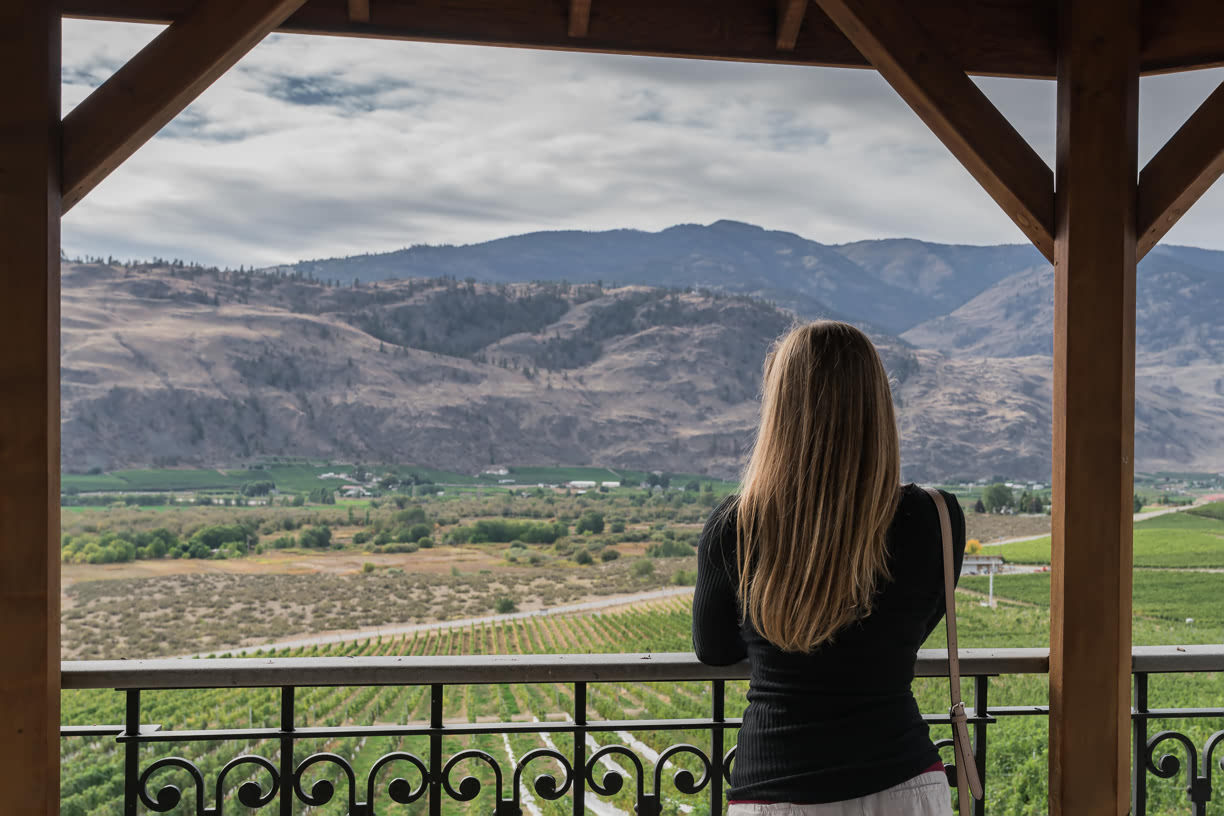 View over the Burrowing Owl vineyards