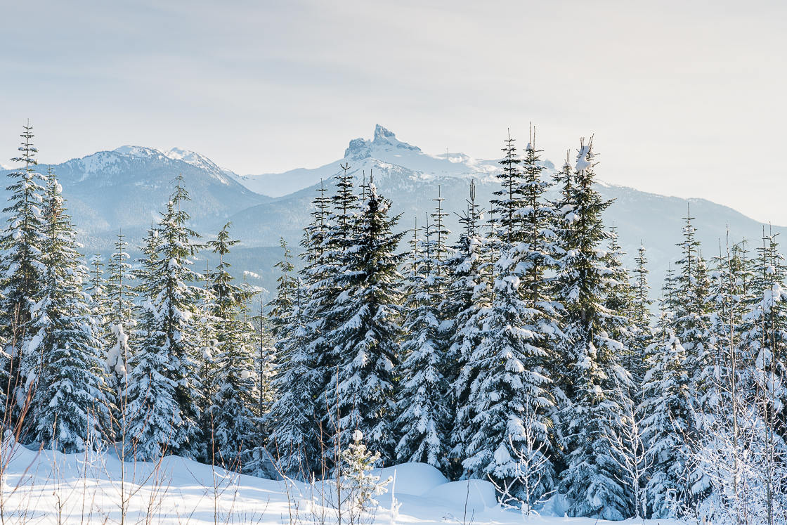 Snow in Whistler