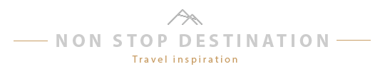 Non Stop Destination logo light