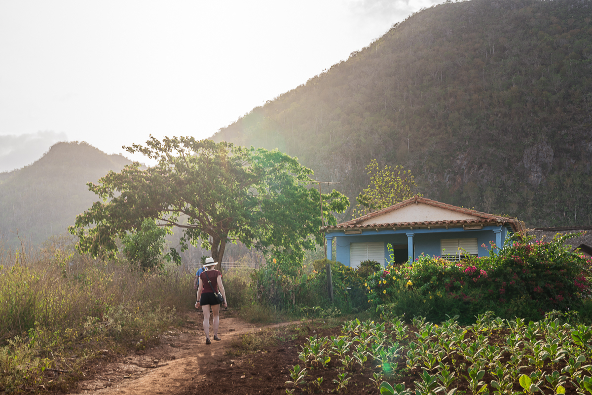 Vinales Cuba pôr do sol mogotes