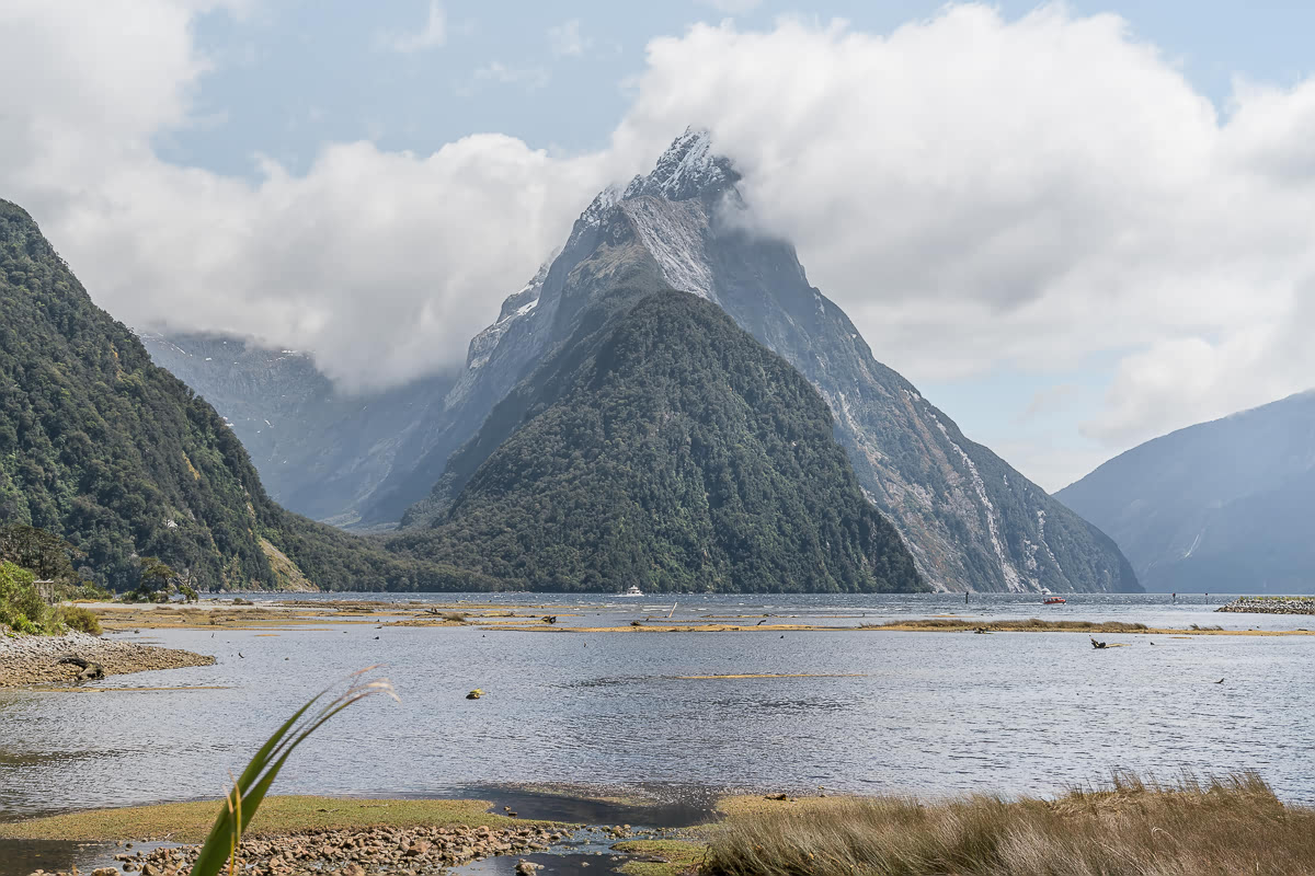 Milford Sound Day Trip