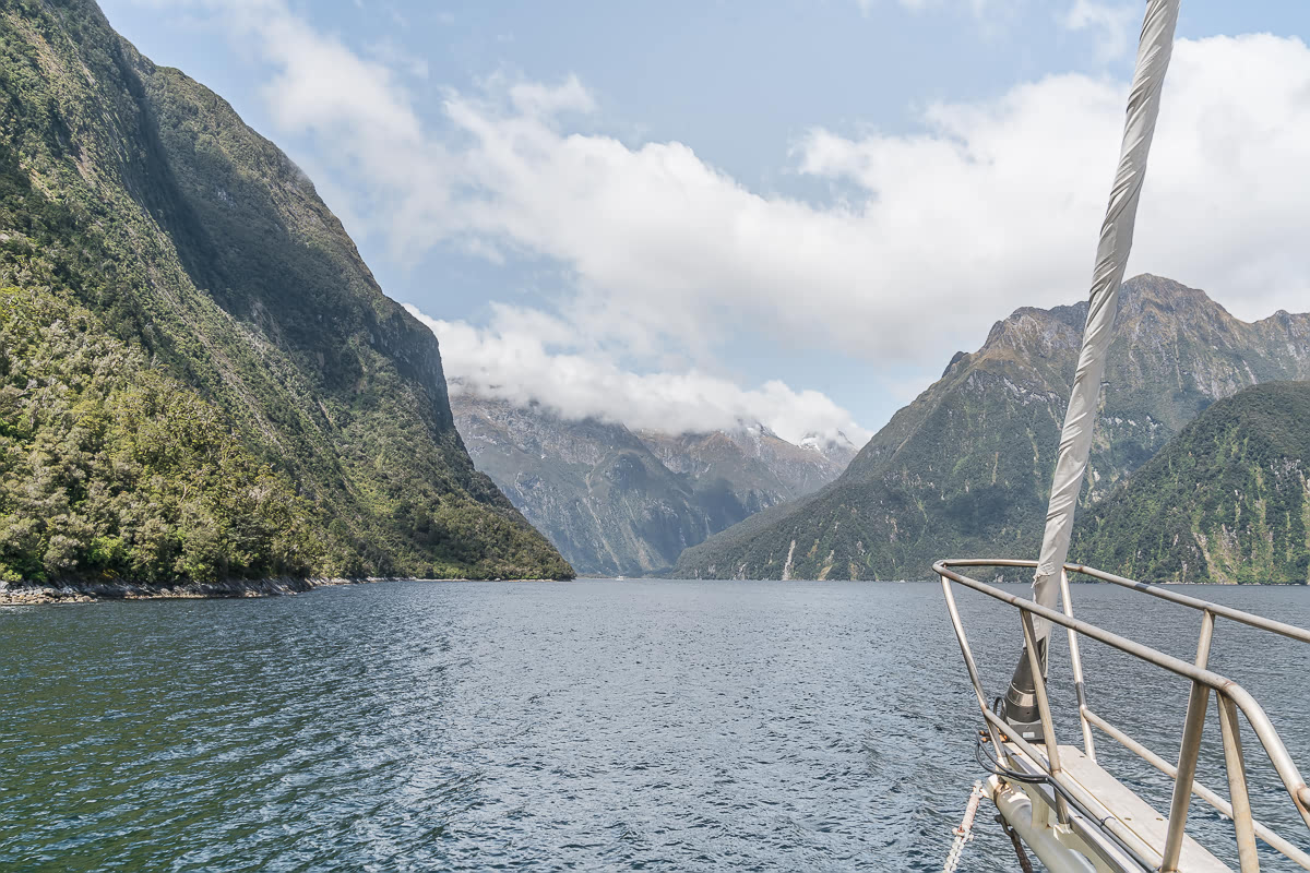 Milford Sound nature cruise Real Journeys