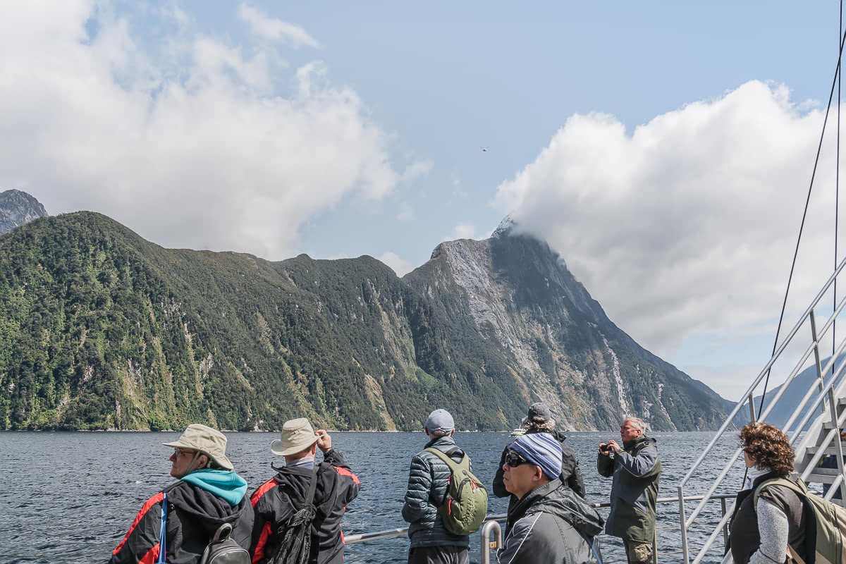 Nature Cruise on Milford Sound Real Journeys