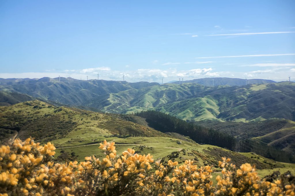 The hills in Wellington