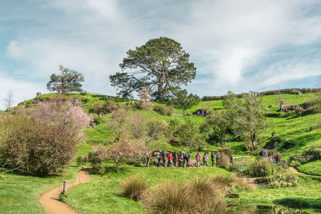 The Hobbit Setting Matamata