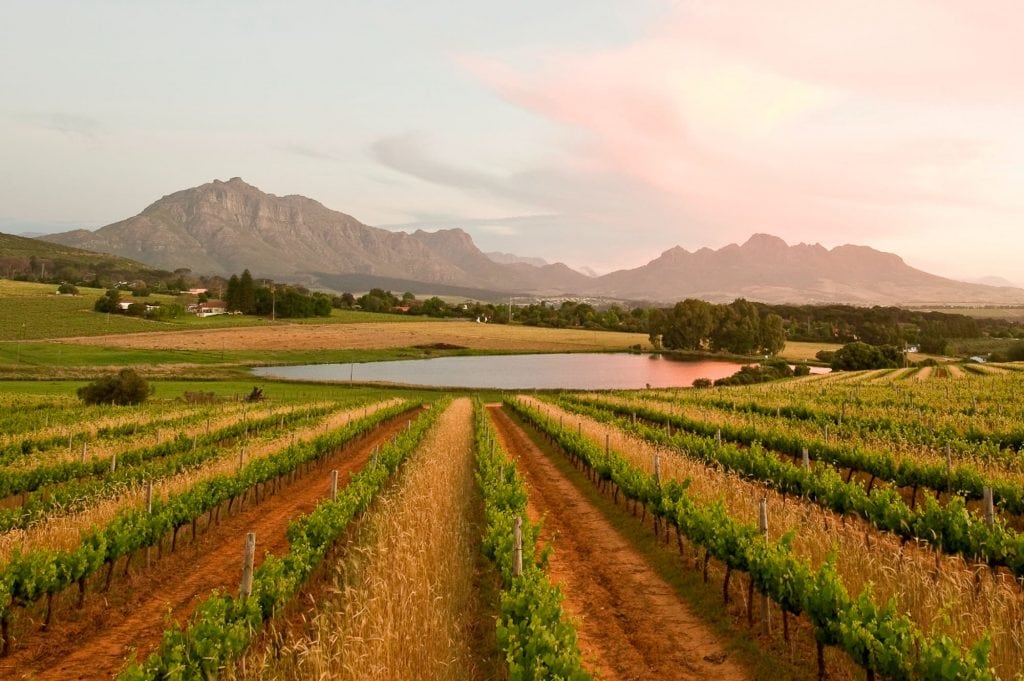 Middelvlei landscape - Stellenbosch Wine Routes