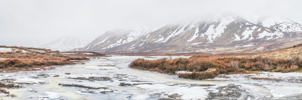 Dempster Highway Yukon Trips