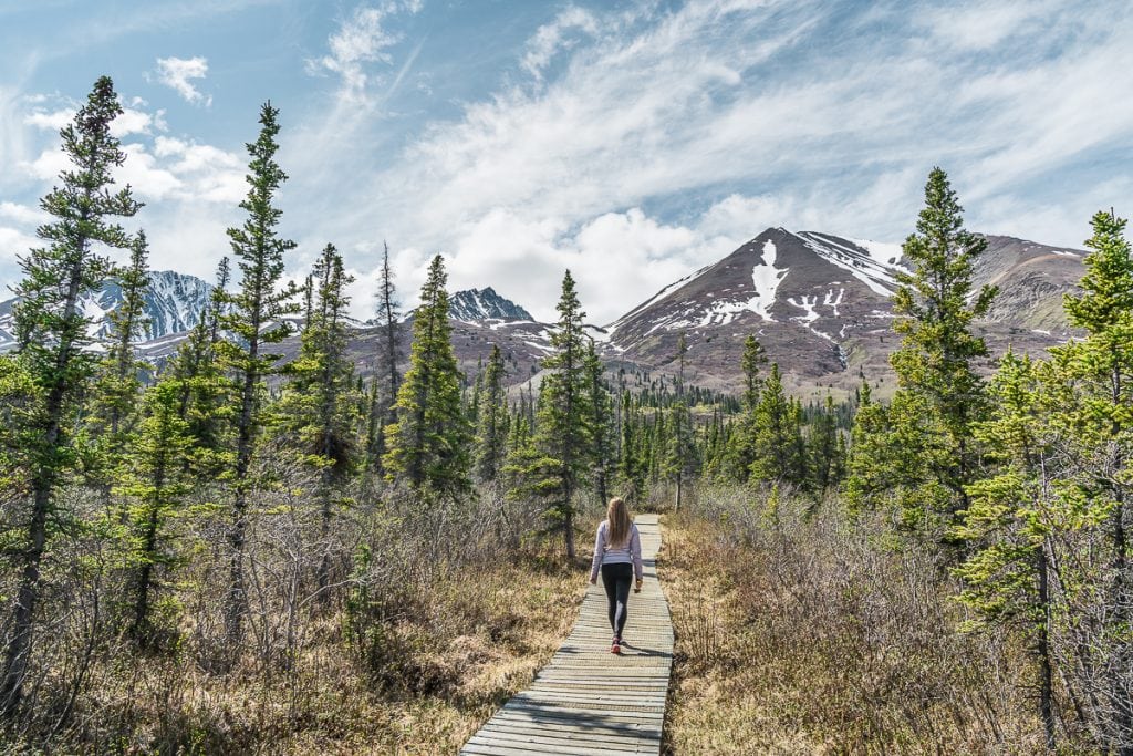 Hiking near Haines Road Yukon