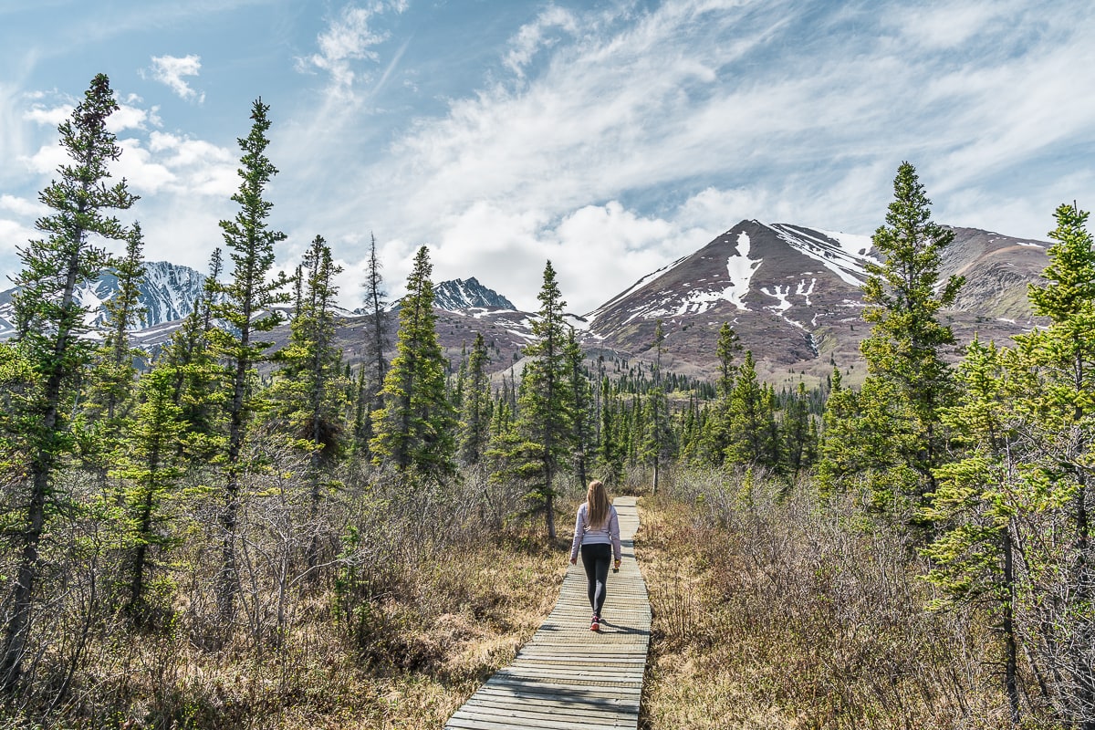 Haines Highway Yukon Road Trip