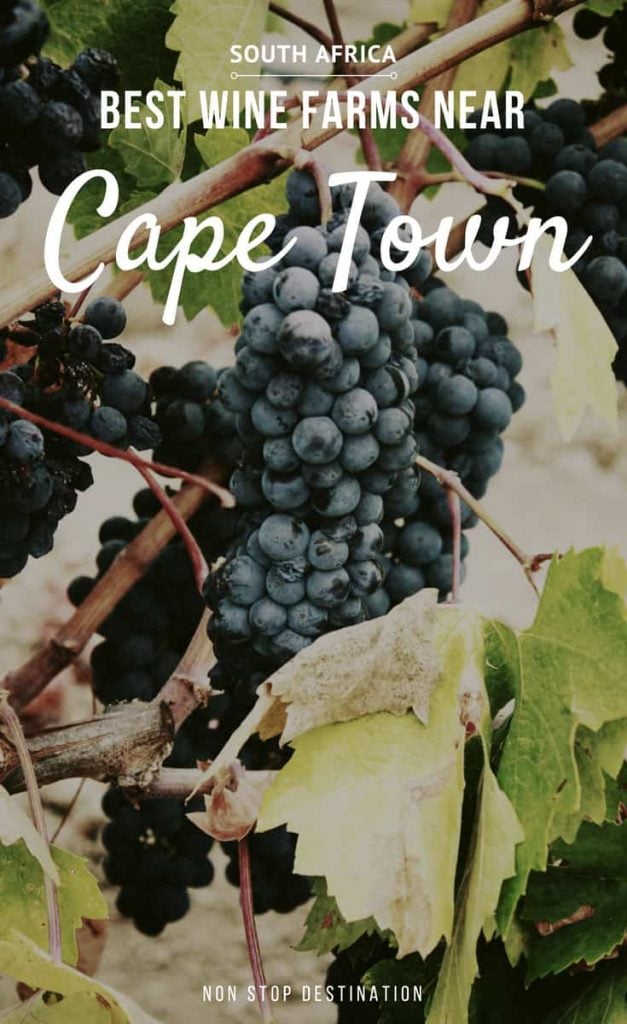 With so many gorgeous, award-winning wine farms near Cape Town, travellers and locals are well and truly spoiled for choice. Here's a selection of the best wineries near Cape Town that stand out above the rest - Non Stop Destination | #winetastingSA #visitcapetown #stellenbosch #franschhoek #southafrica #capetown |