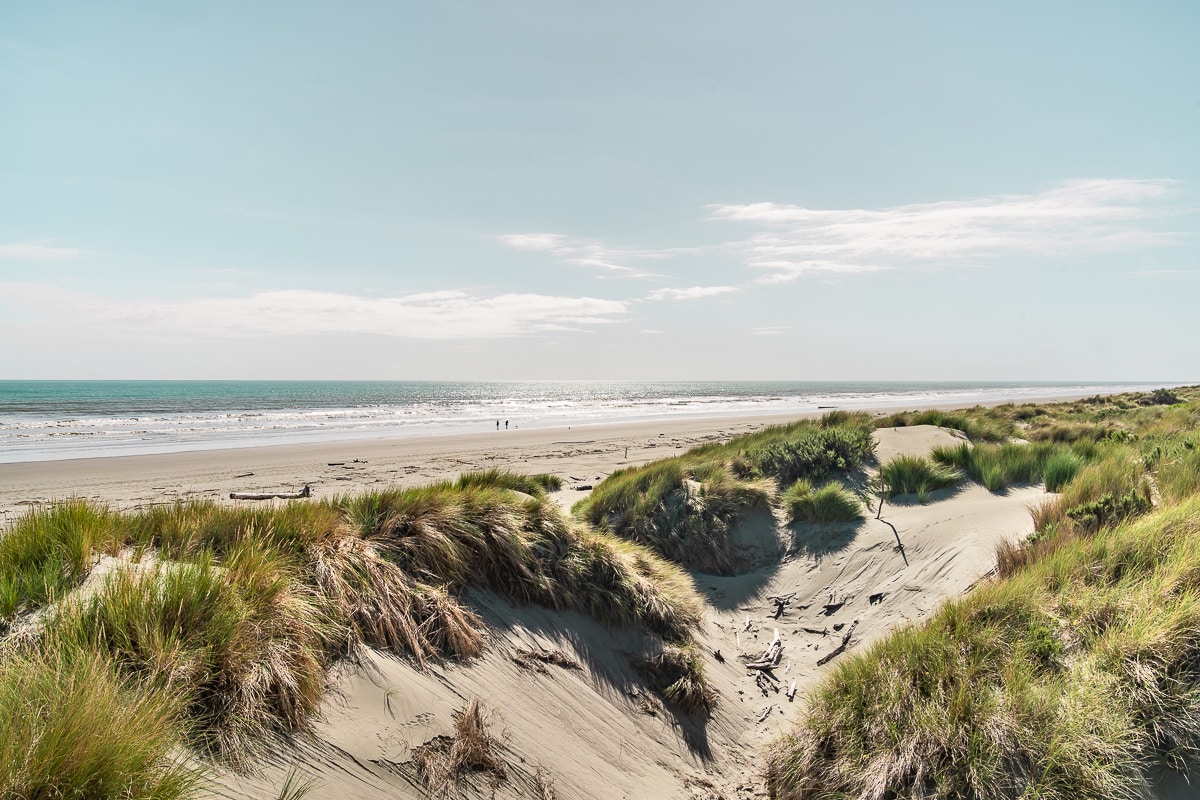 New Zealand Beach Dune