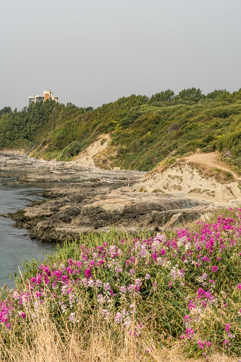 Victoria cliffs Canada