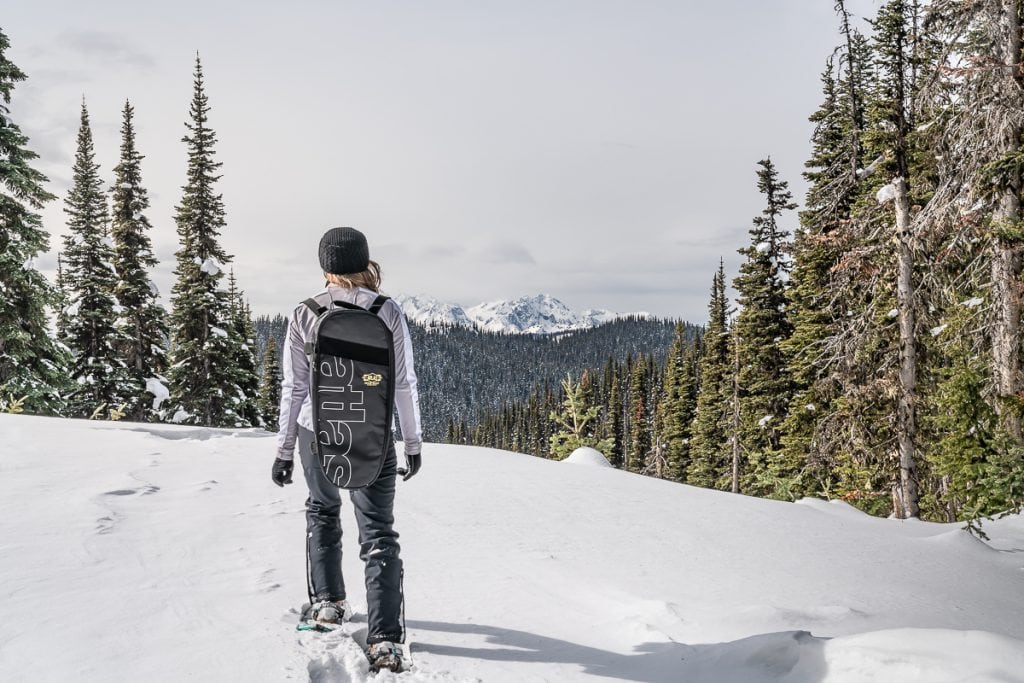 backcountry snowshoeing EC Manning Park