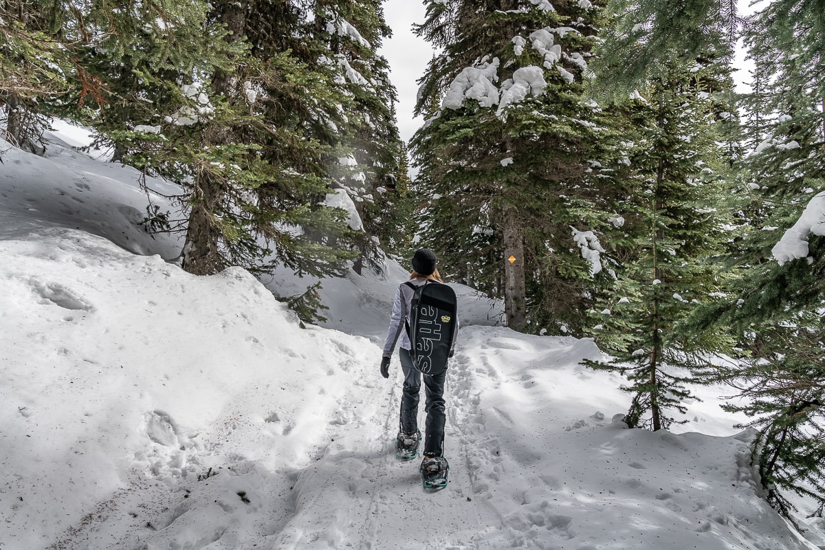 backcountry snowshoeing EC Manning Park Canada