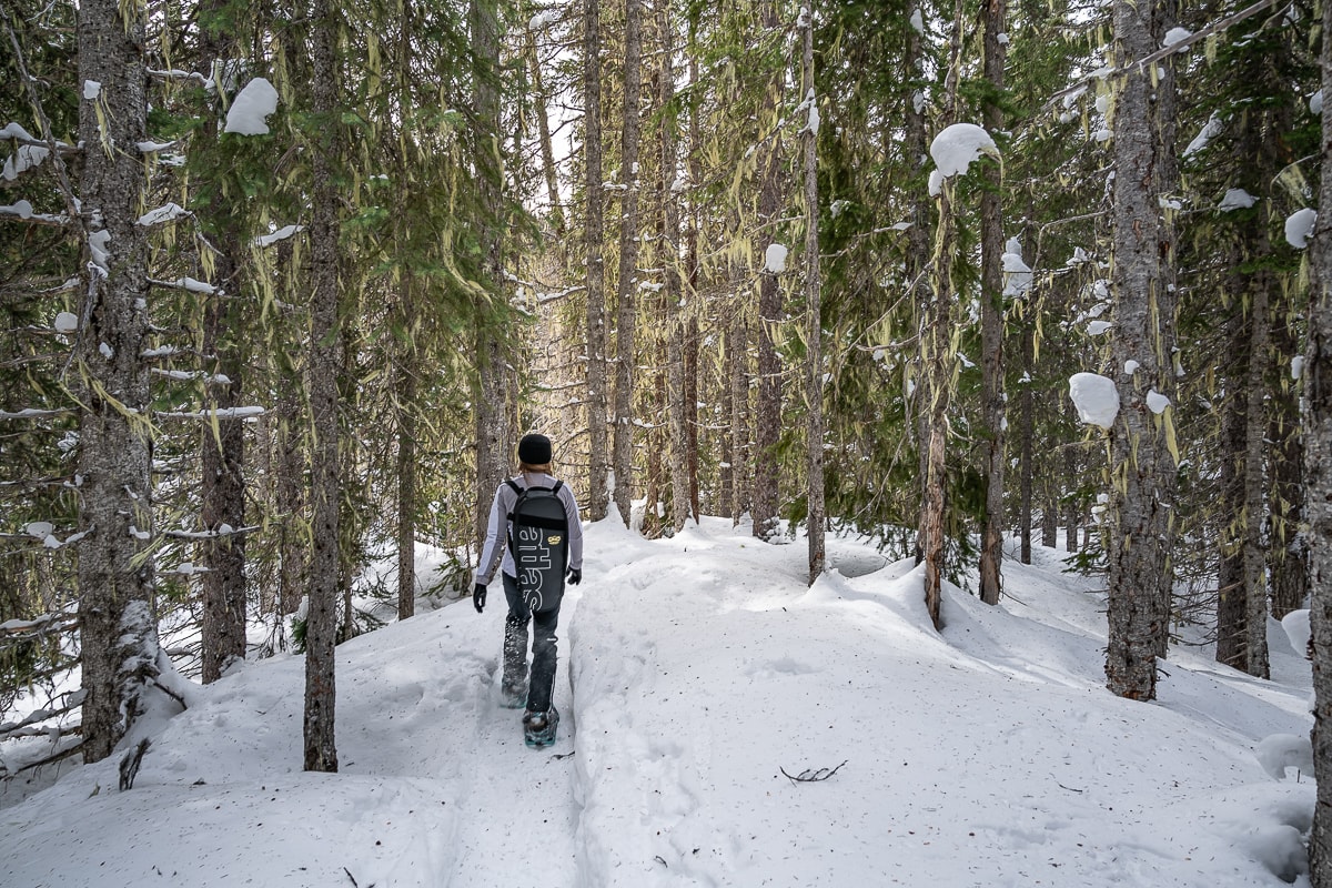 backcountry snowshoeing manning park Canada