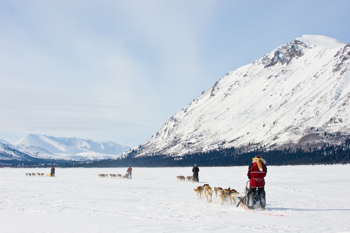 dog sledding on Annie Lake; Yukon