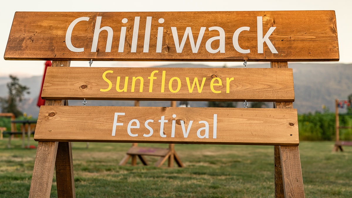 Chilliwack Sunflower Festival