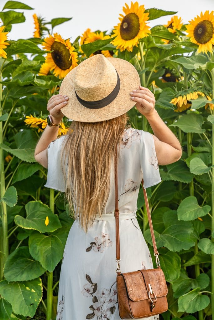 Looking at sunflowers