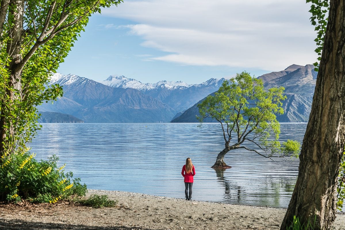 Standing by Wanaka Lake with Wanaka Tree