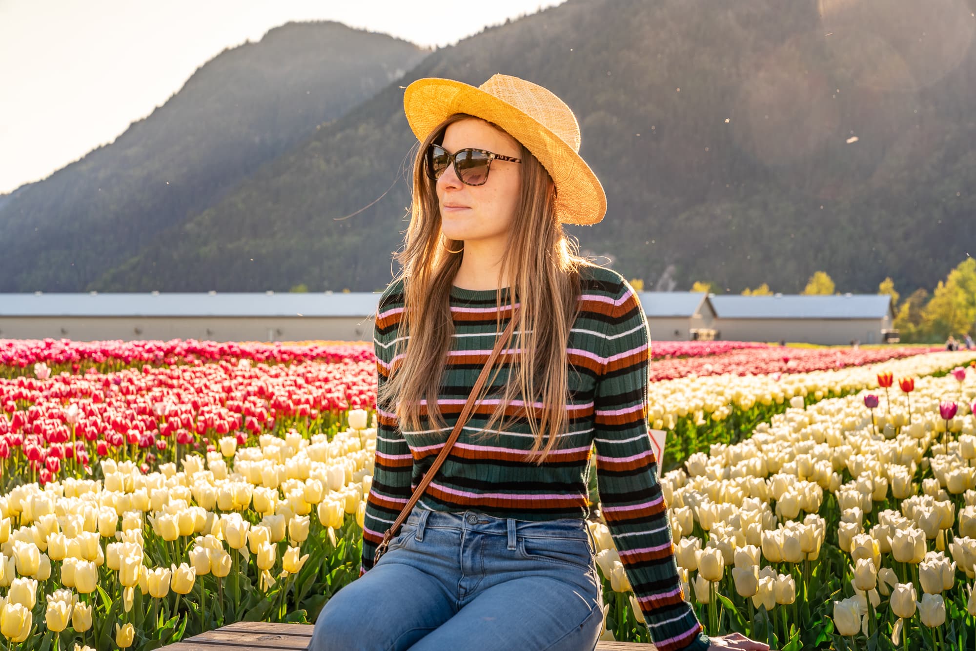 Goodbye 2019, Hello 2020 - A woman standing in front of a mountain - Tulip