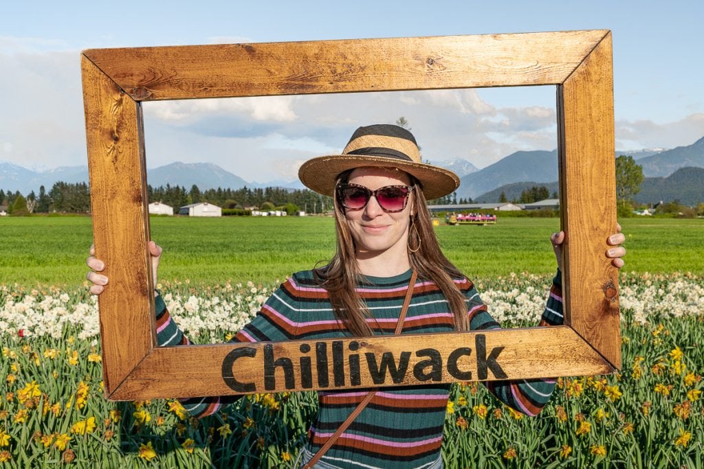 chilliwack tulip festival canada