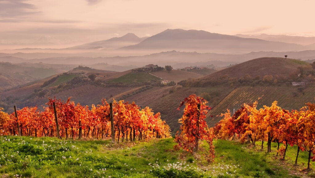 Autumn - Marche