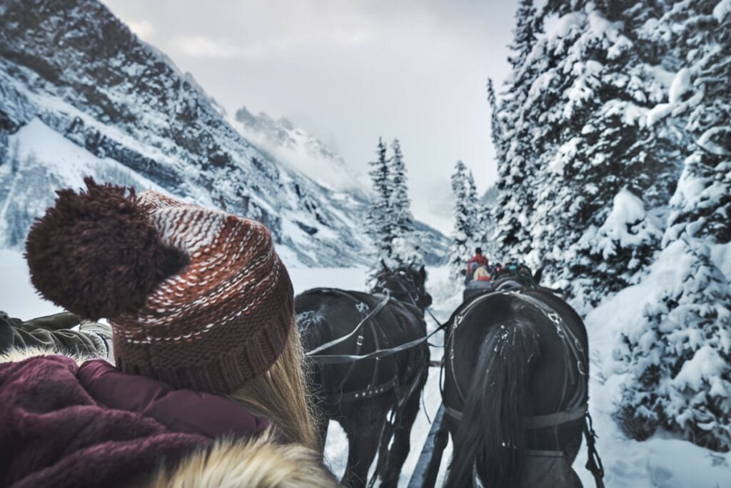 Sleigh Ride at Lake Louise