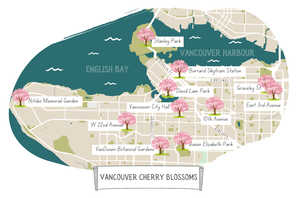 Cherry Blossom Vancouver Locations