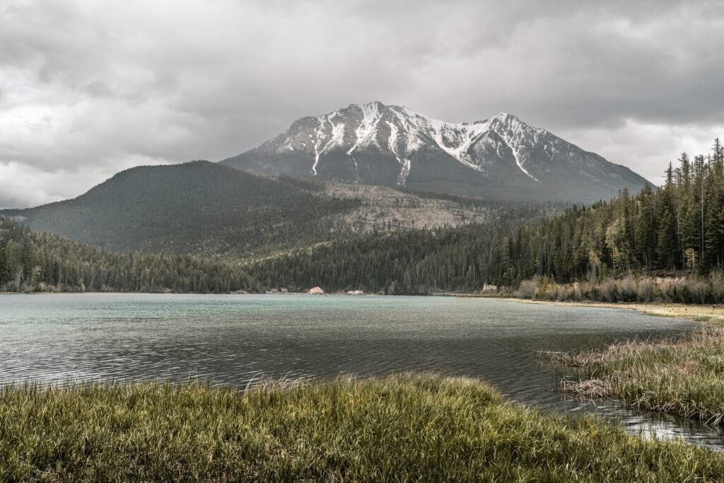 Alces Lake Whiteswan Lake Provincial Park