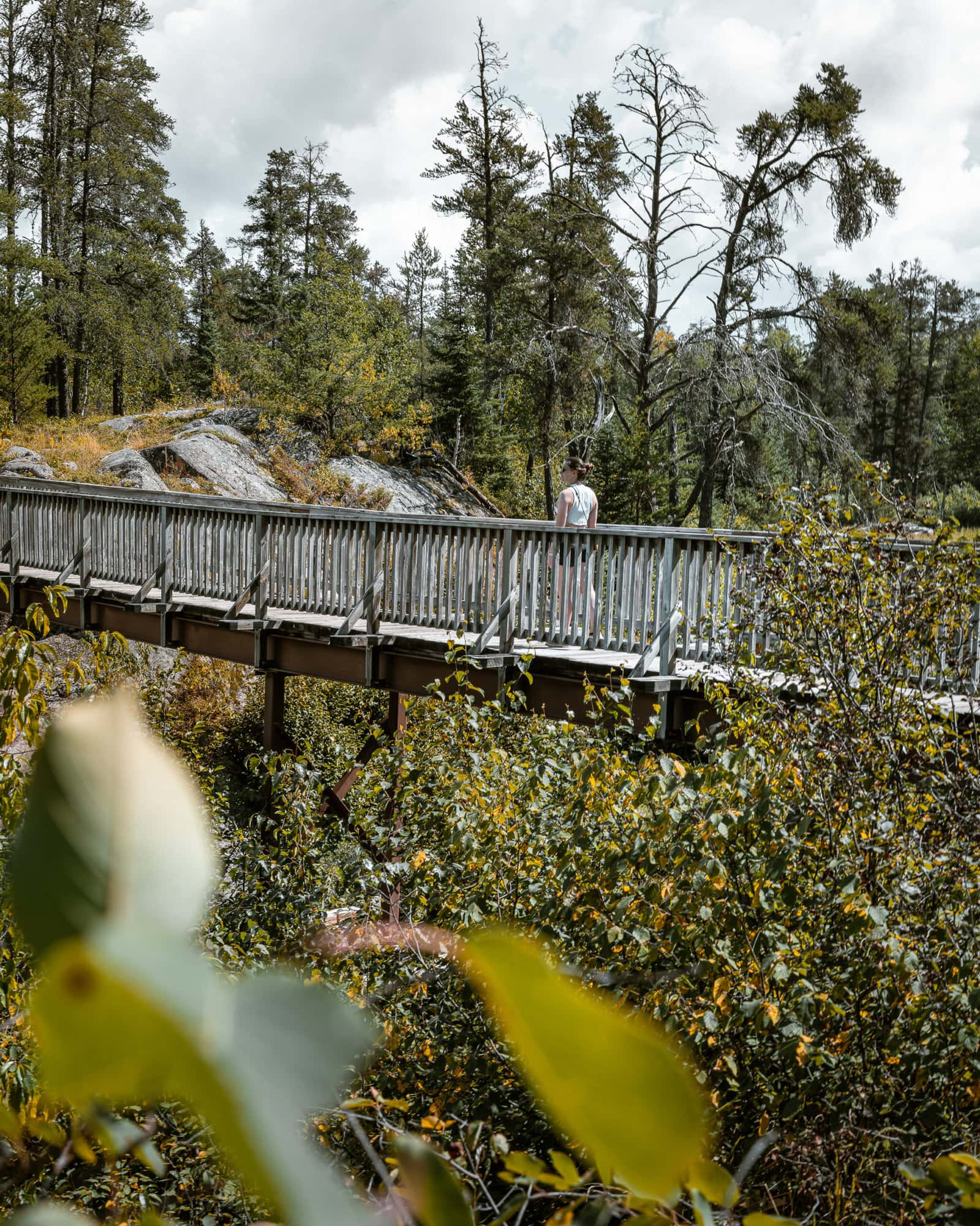 Rushing River Provincial Park Knoll Trail bridge