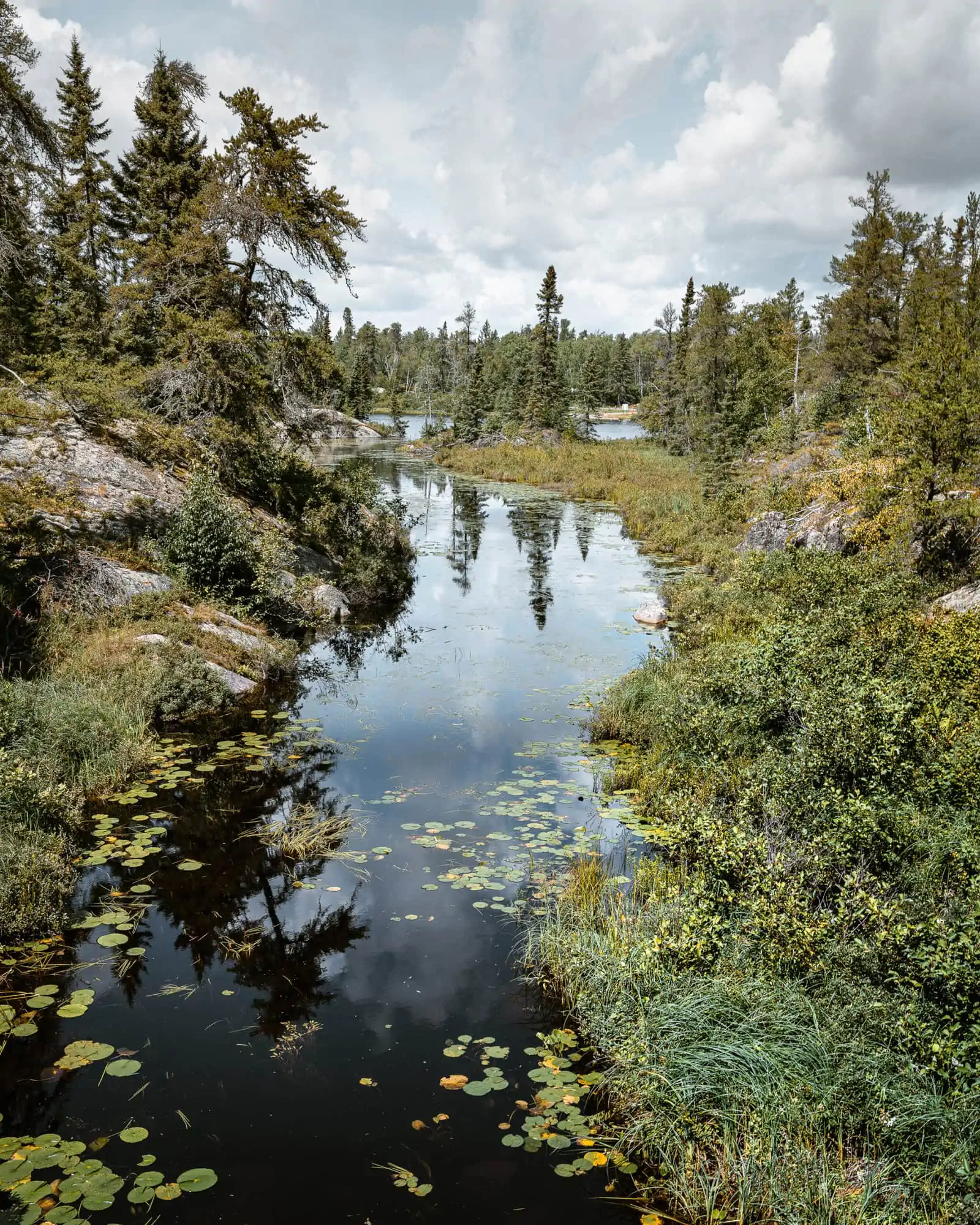 Rushing River Provincial Park Lake of the Woods Dogtooth Lake