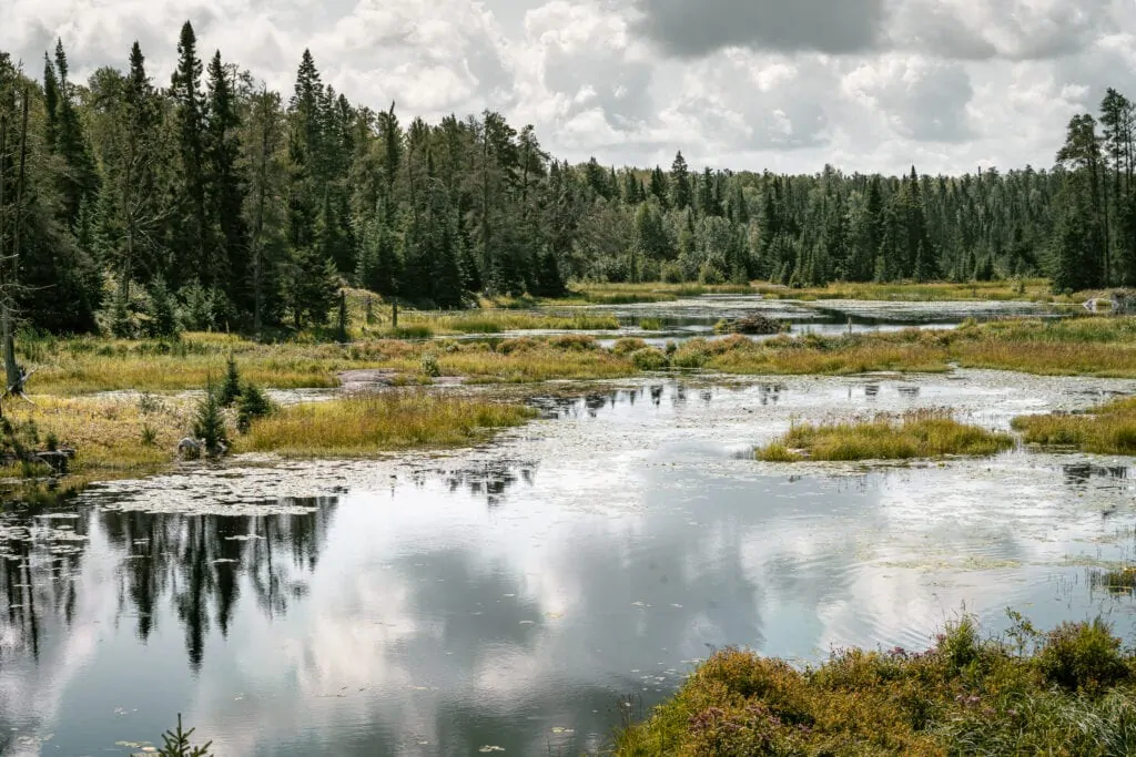 Lake of the Woods