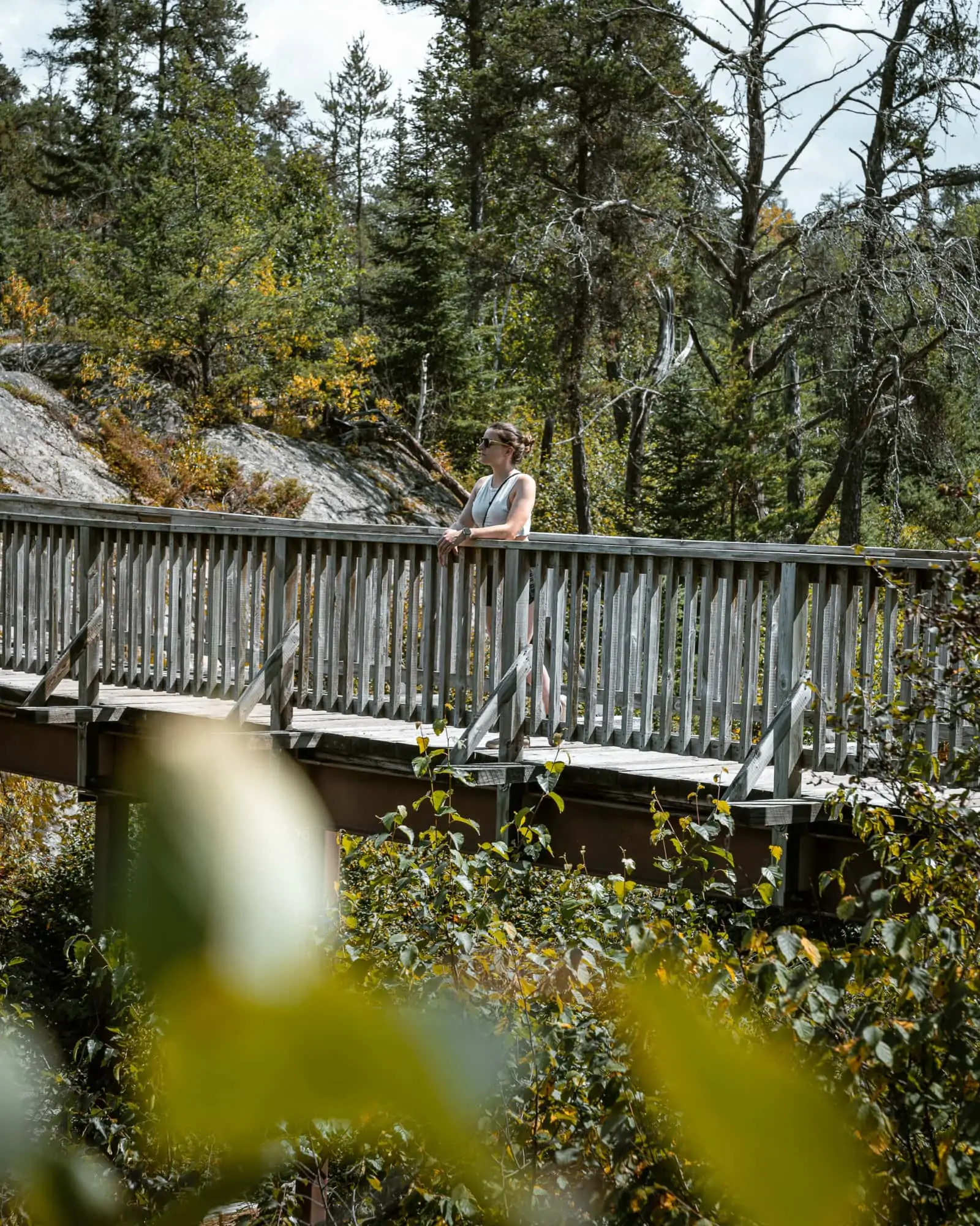 Rushing River Provincial Park knoll trail bridge 02