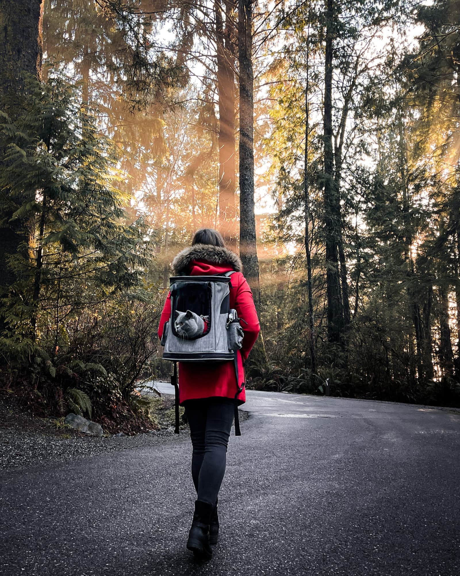 On the way to Port Renfrew