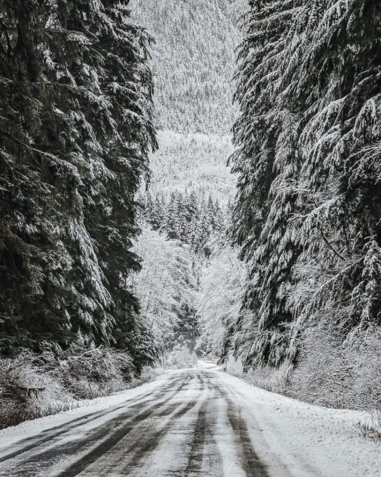 Road to Lake Cowichan