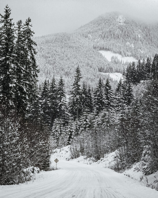 Road to Lake Cowichan in winter