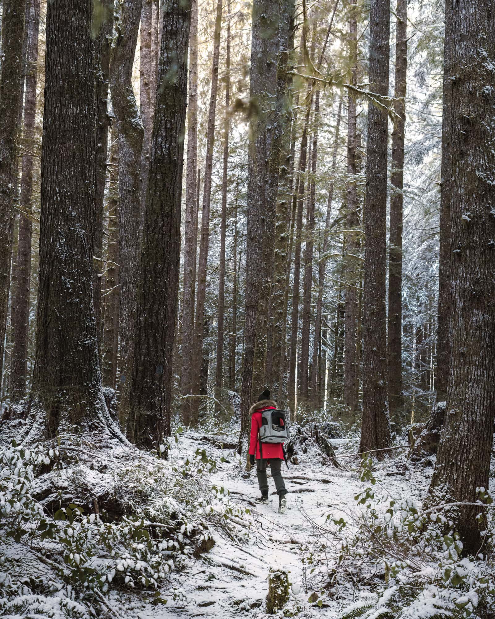 Things to do in Port Renfrew Hiking