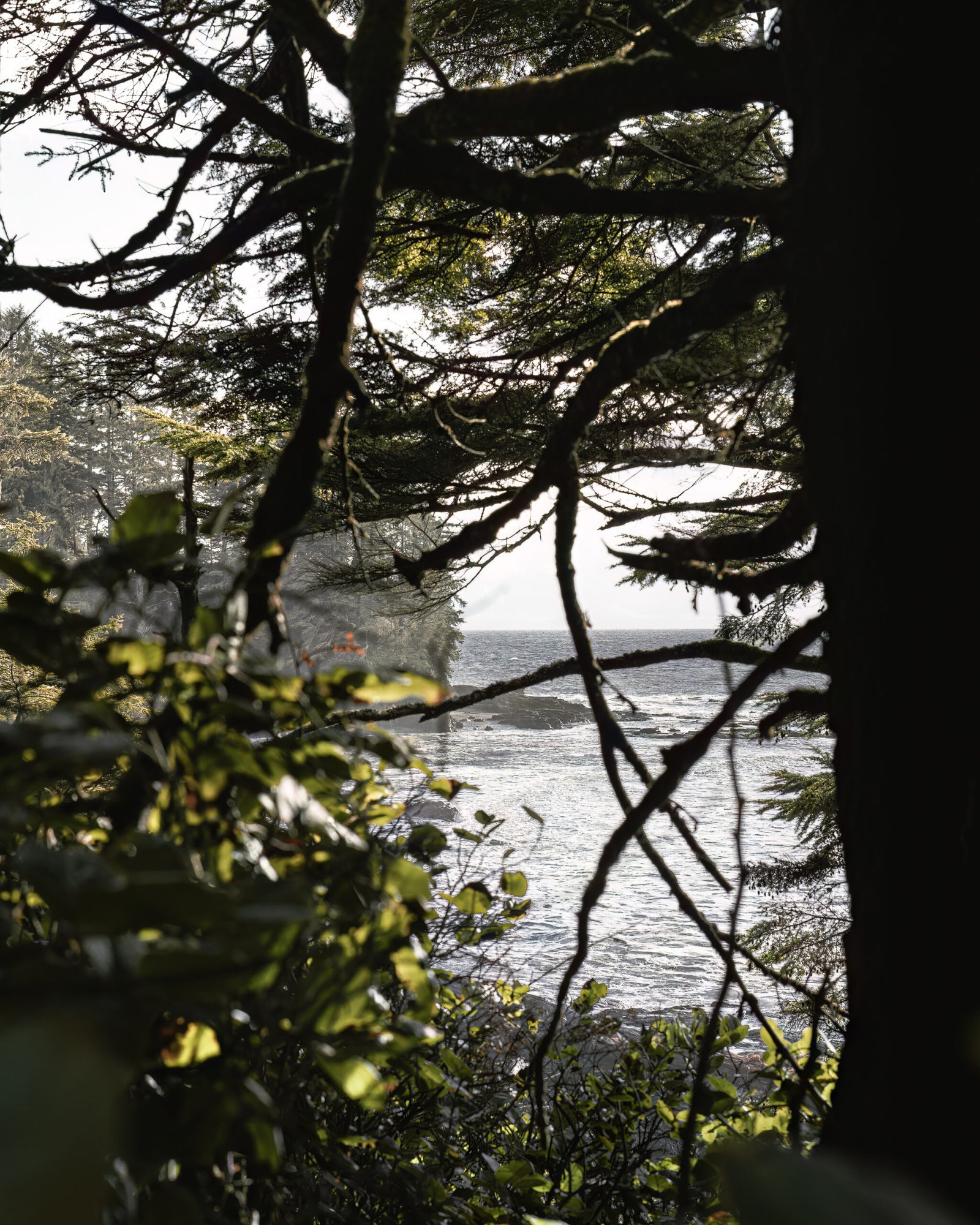 Things to do in Port Renfrew Juan de Fuca Provincial Park