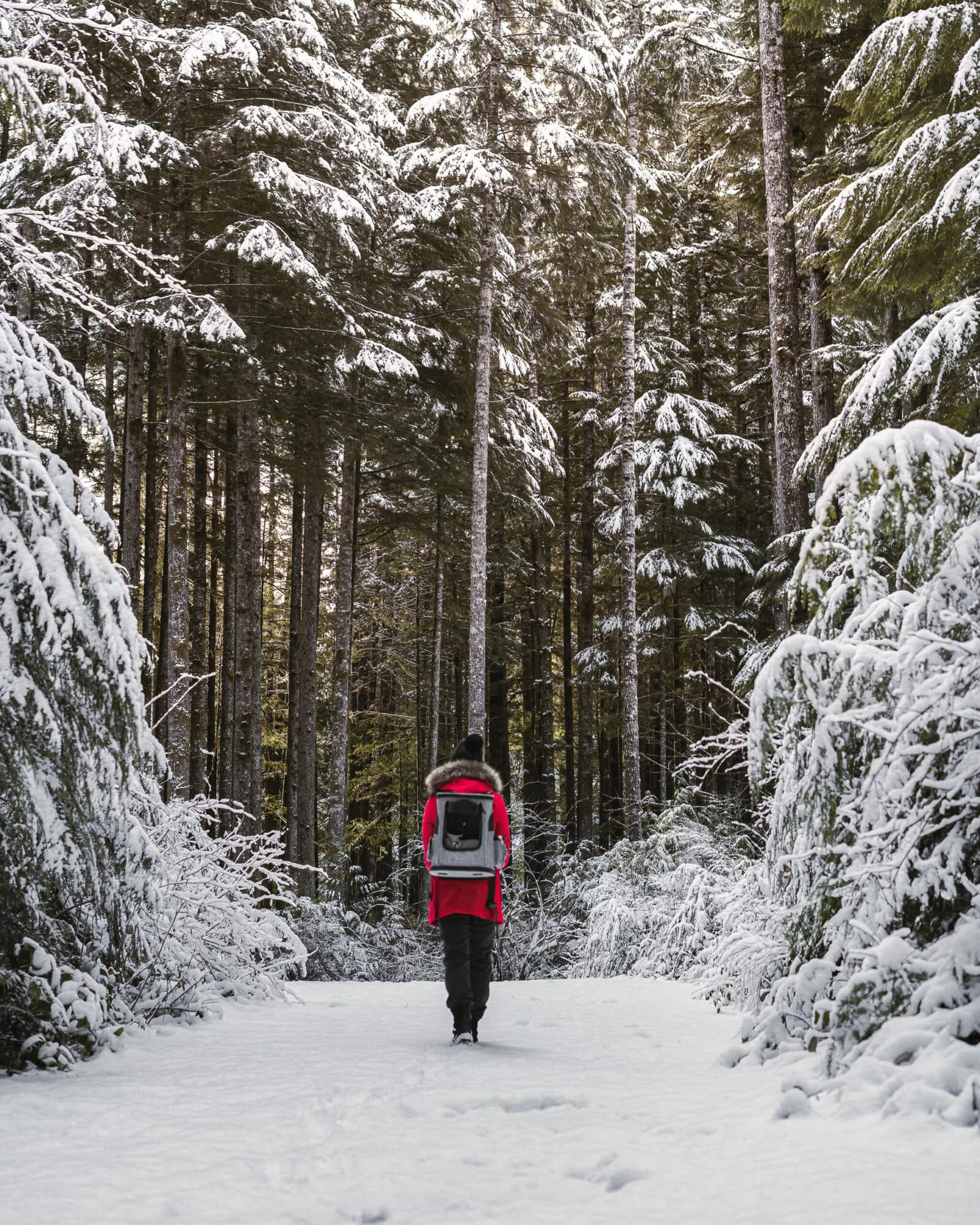 Things to do in Port Renfrew in winter