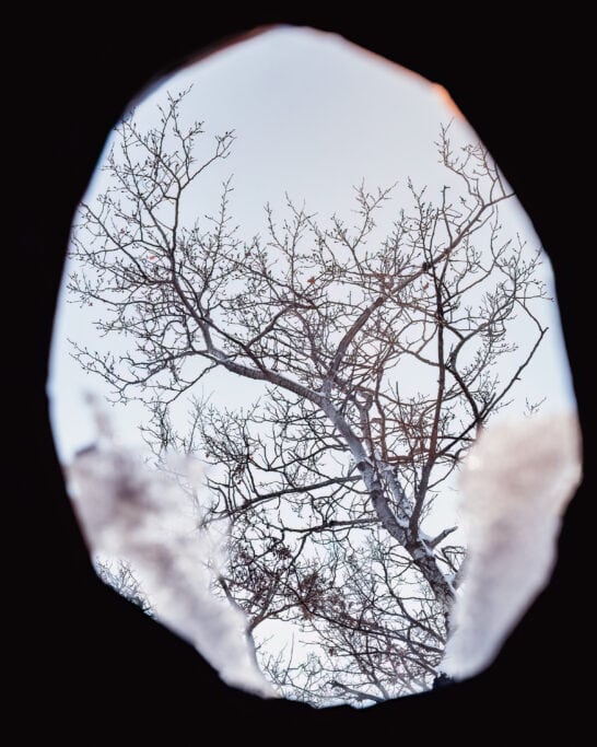 glamping manitoba oak haven oasis porthole