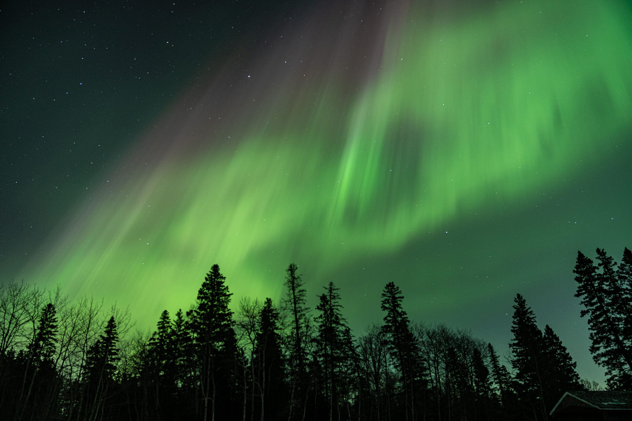 Birds Hill Northern Lights Manitoba 01