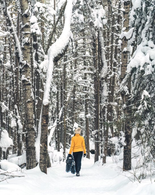 Brule trail in winter Riding Mountain National Park